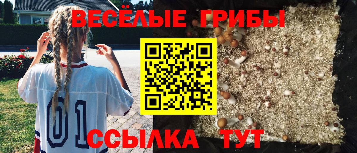 Люберцы  Галлюциногенные грибы Magic Shrooms  Вход с VPN 
